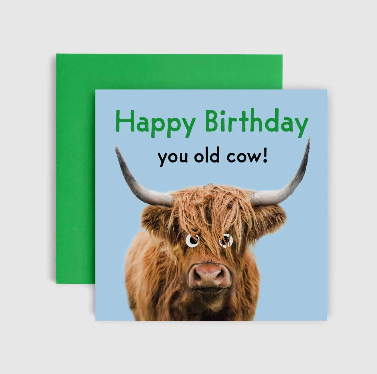 Old Cow Birthday Card