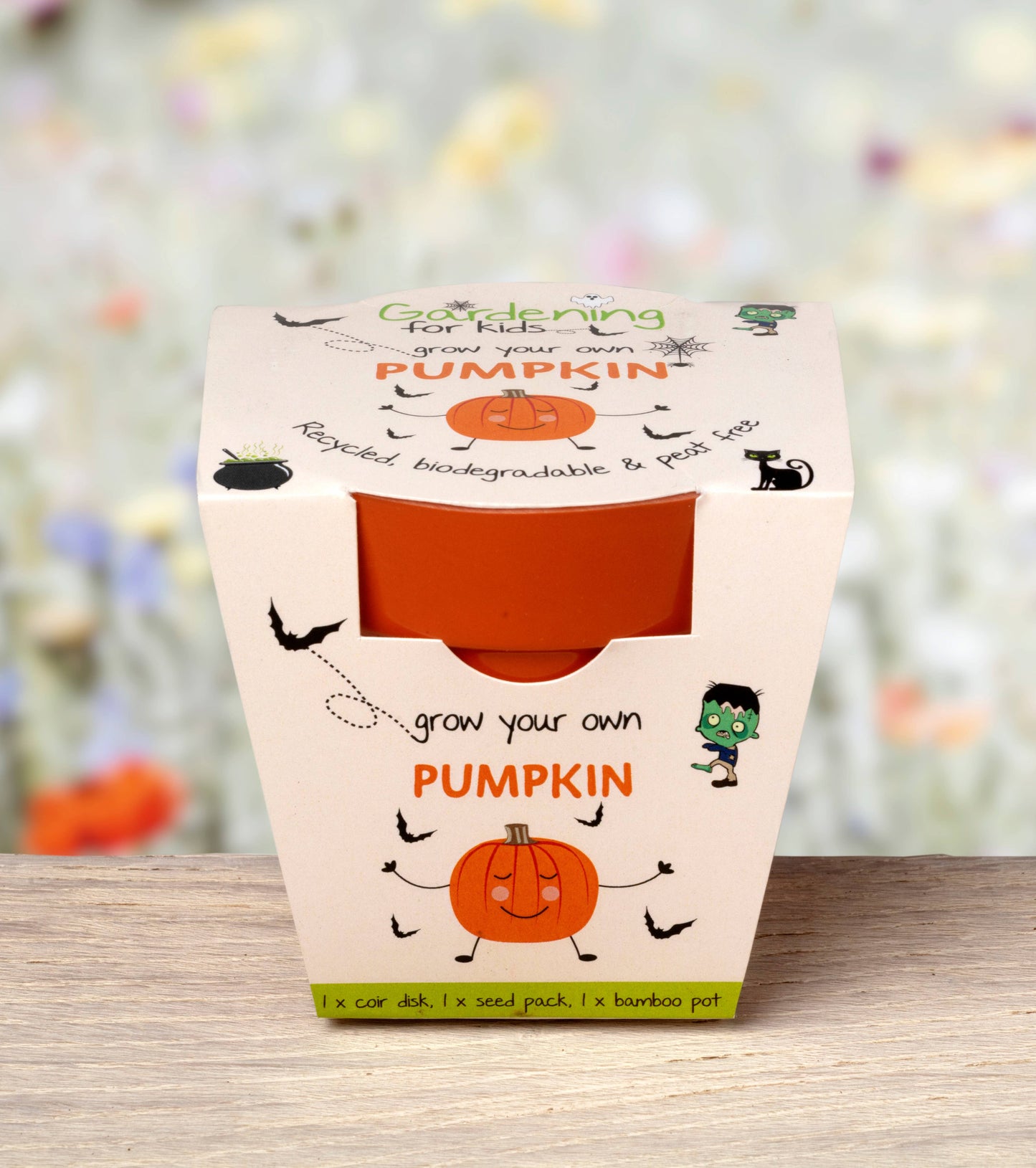 Children's Grow Your Own Pumpkins Growing Kit