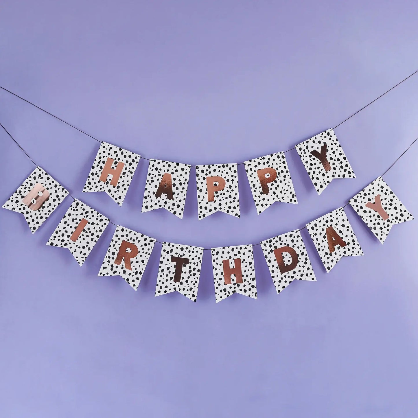 Dalmatian 'Happy Birthday' Banner 2M