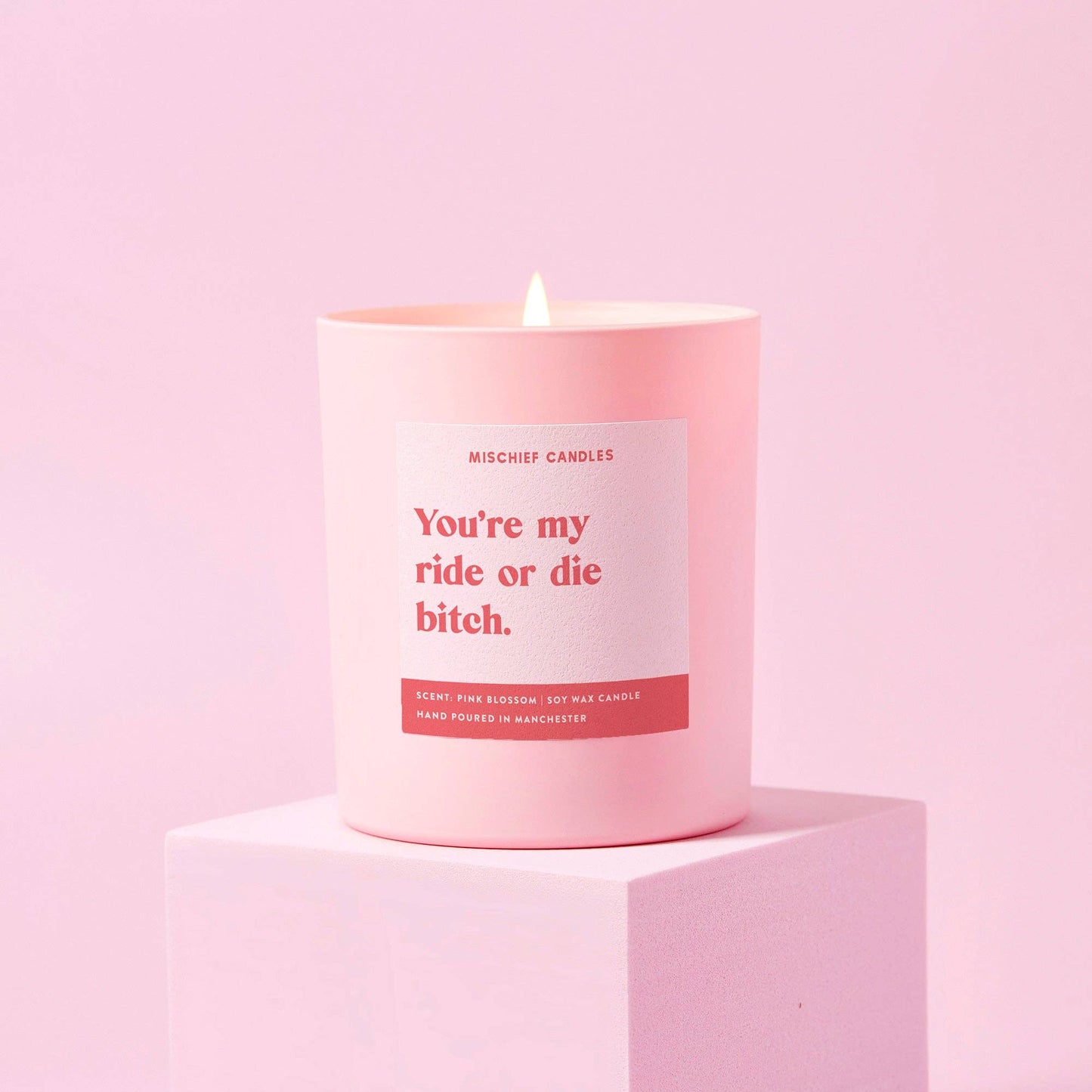 Ride or Die Bitch Friendship Gift For Her Funny Candle